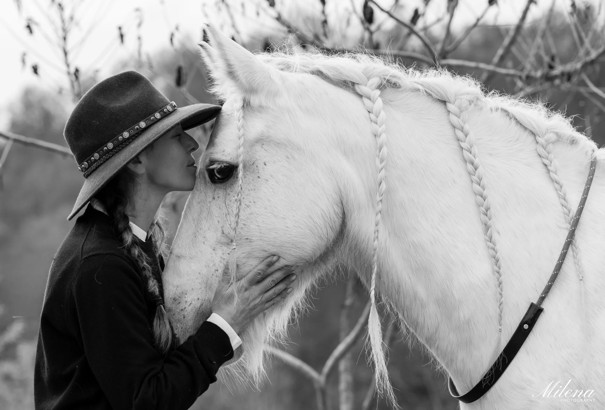 OmniHorse Background